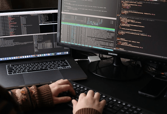 Custom Software  Development