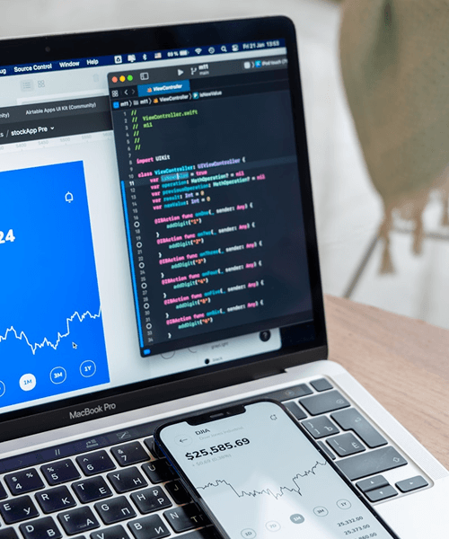 Enterprise software development